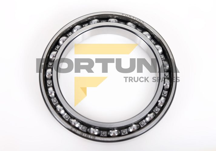 Imagem do produto ROLAMENTO 61916 - TRAS. CAMBIO ZF - Cód: FAP-12038